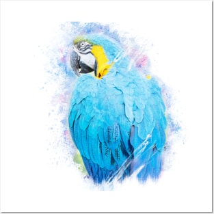 Parrot Bird Animal Wildlife Jungle Forest Nature Watercolor Posters and Art